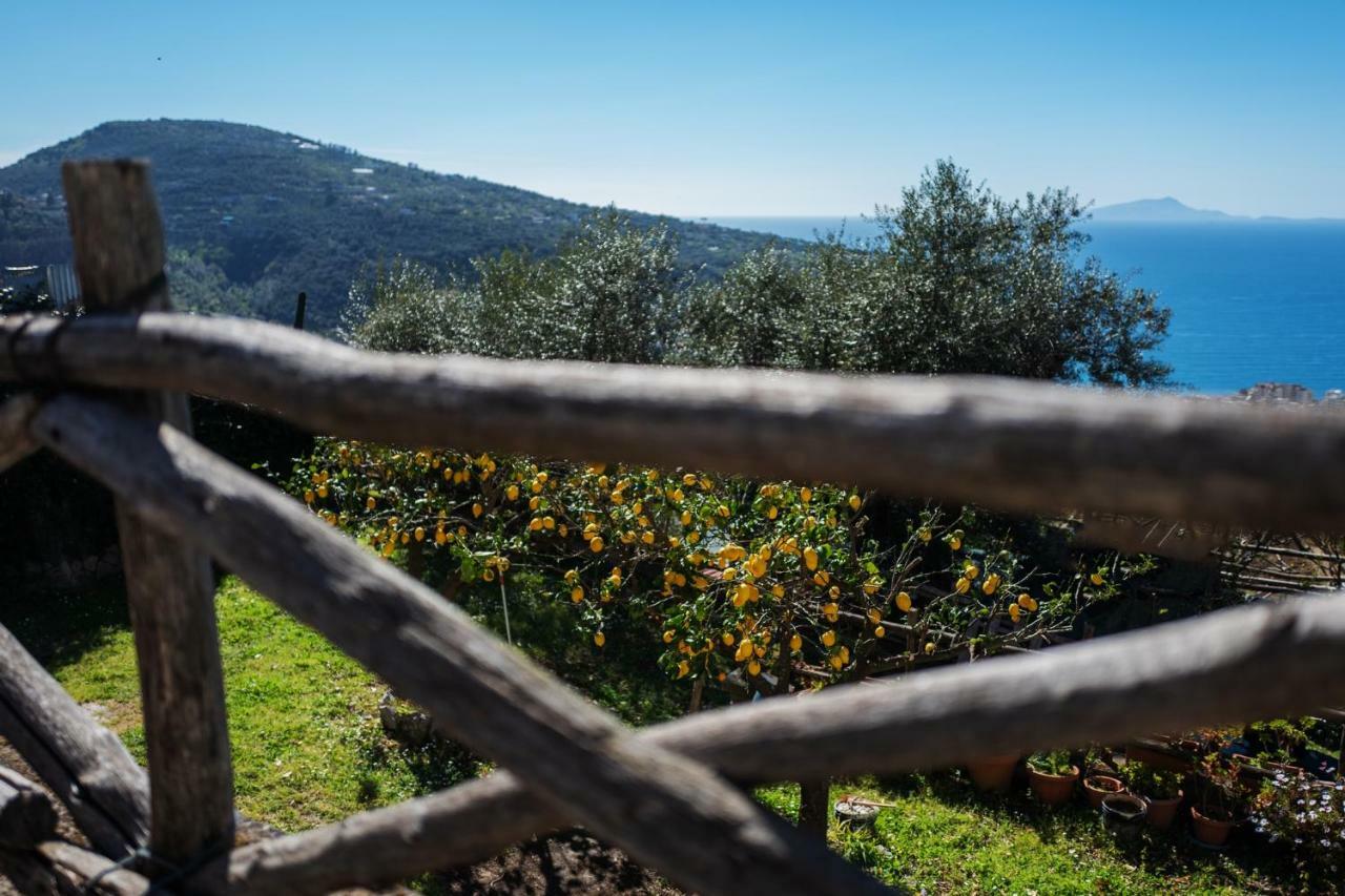 Casa Floriana Lejlighed Vico Equense Eksteriør billede