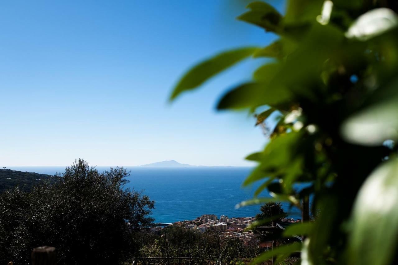 Casa Floriana Lejlighed Vico Equense Eksteriør billede
