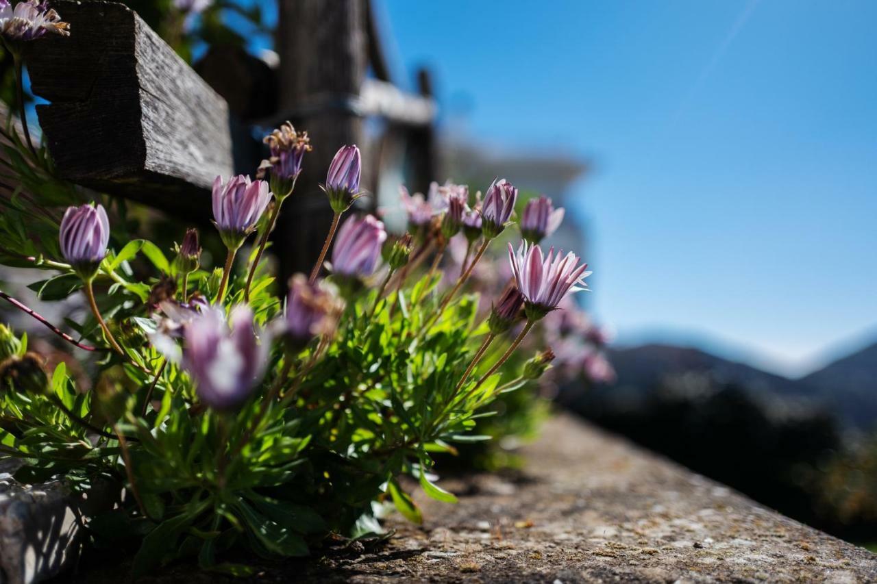 Casa Floriana Lejlighed Vico Equense Eksteriør billede